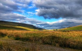 The Garsdale Bed & Breakfast - Goats And Oats At Garsdale